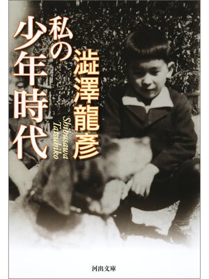 cover image of 私の少年時代